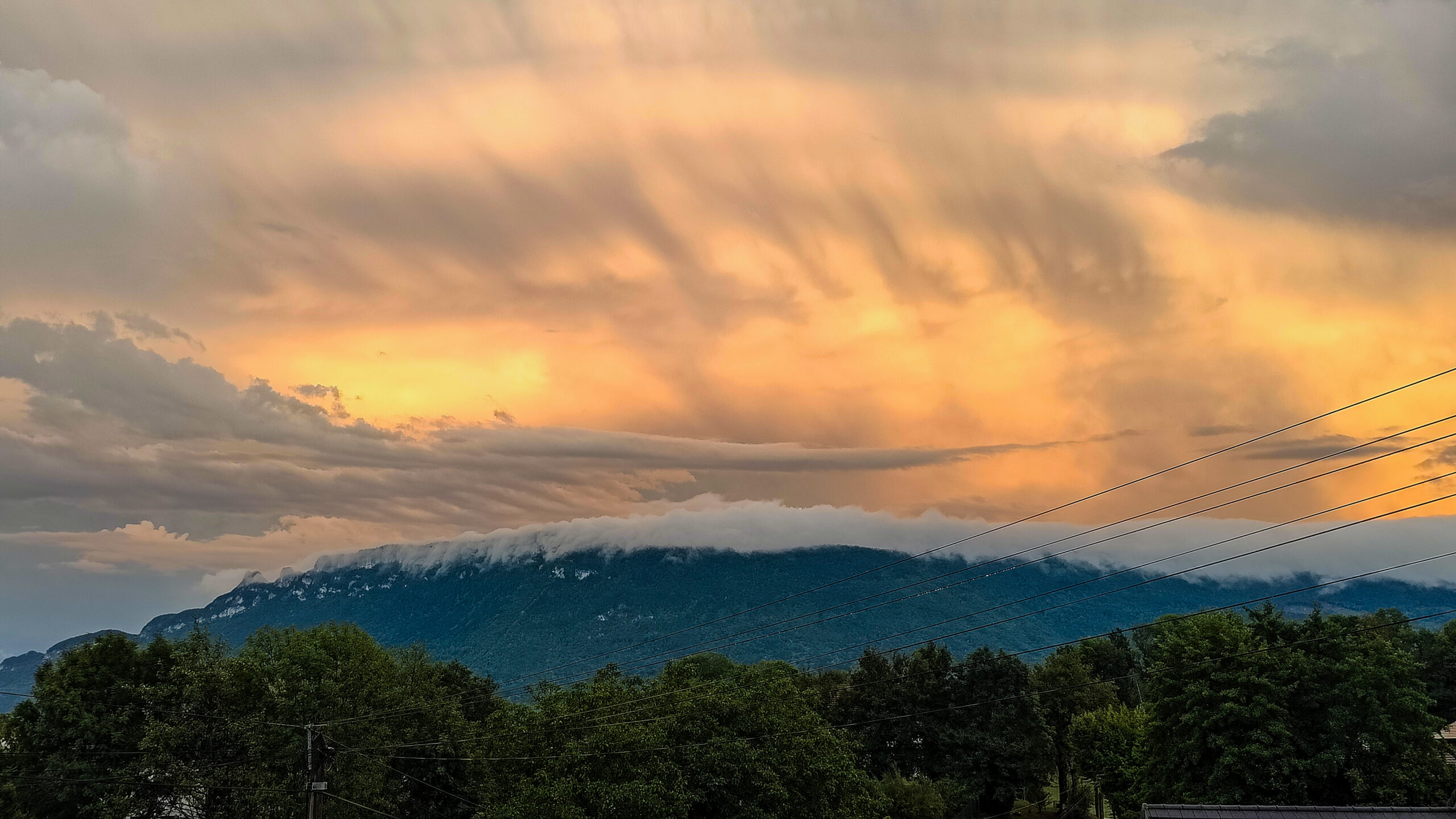 Rara Blue background